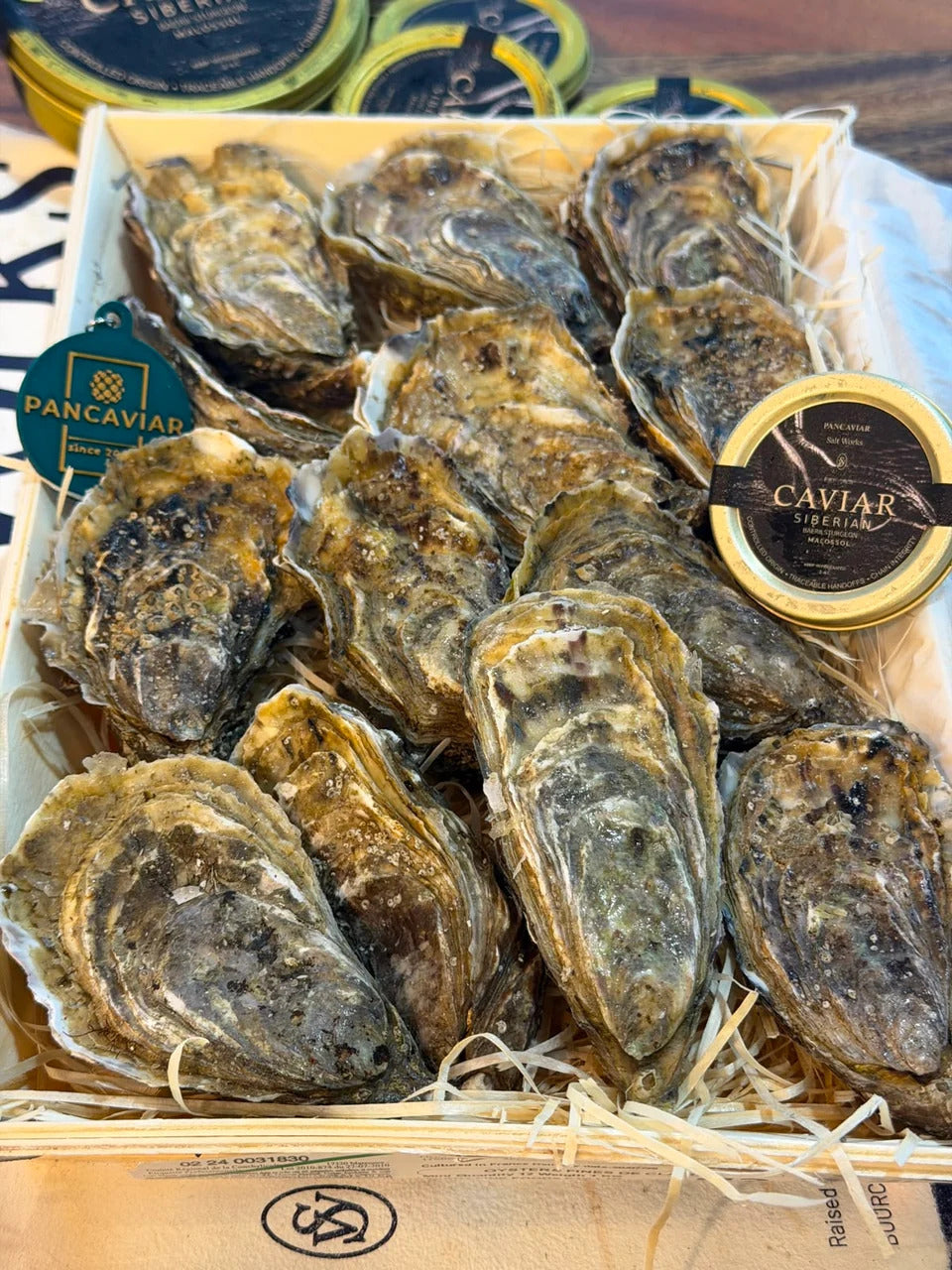 Fresh unshucked claire oysters kept cold before serving
