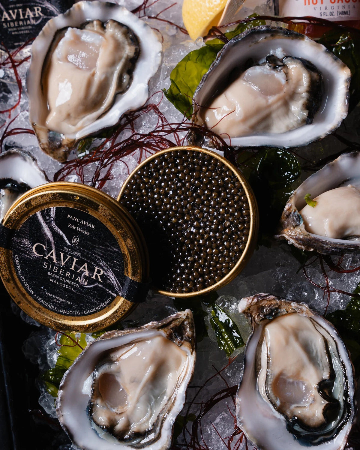 Freshly shucked Fine de Claire oysters served on crushed ice