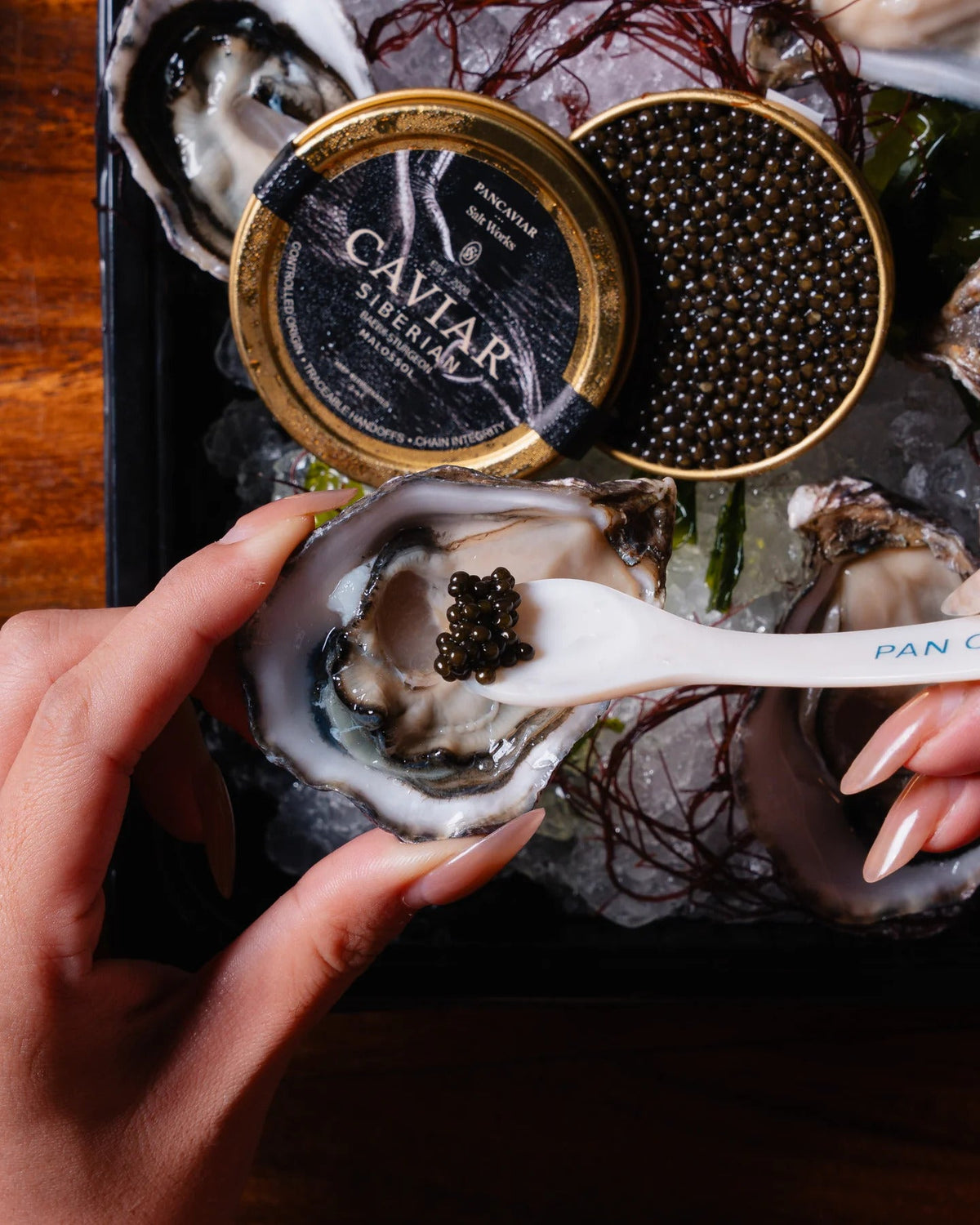 Siberian Baerii caviar served over freshly shucked claire oysters
