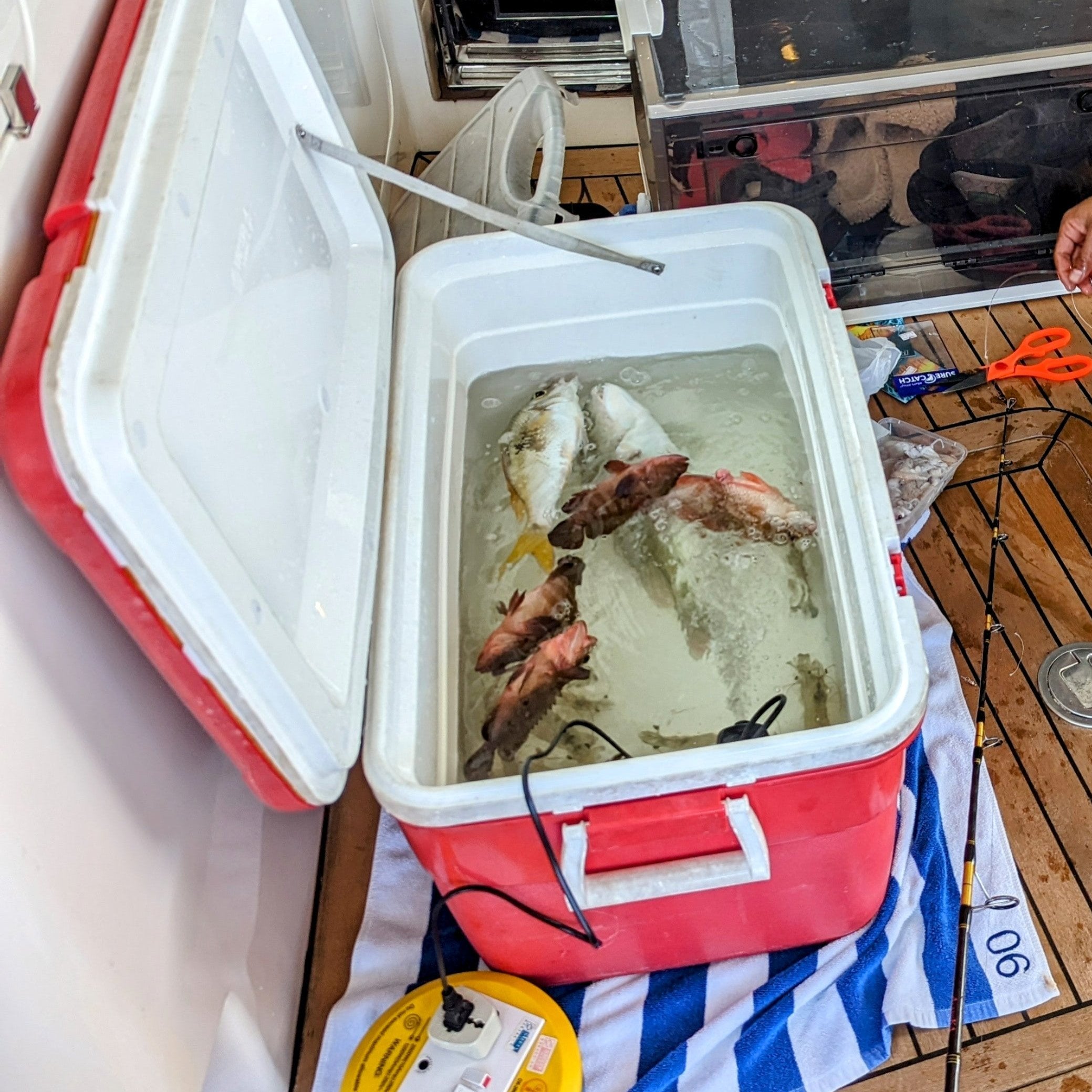 Angler with catch of the day on a Yacht Maison fishing charter in Singapore